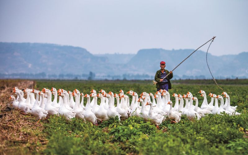 運城農商銀行——歸——李琳霞——18735928880 運城農商銀行——歸——李琳霞——18735928880