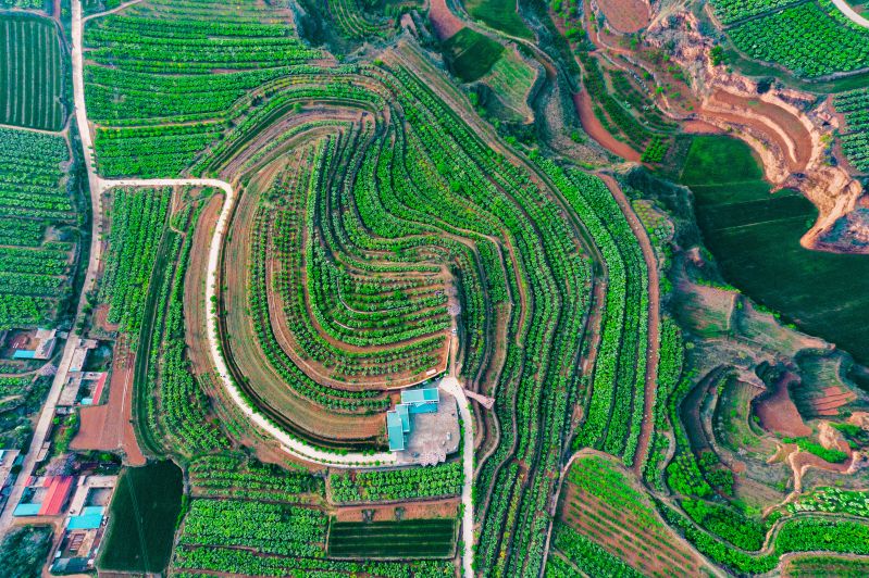 1.《山楂花開磨盤嶺,脫貧致富小康路》--姜世忠13096516801_副本 1.《山楂花開磨盤嶺,脫貧致富小康路》--姜世忠13096516801_副本