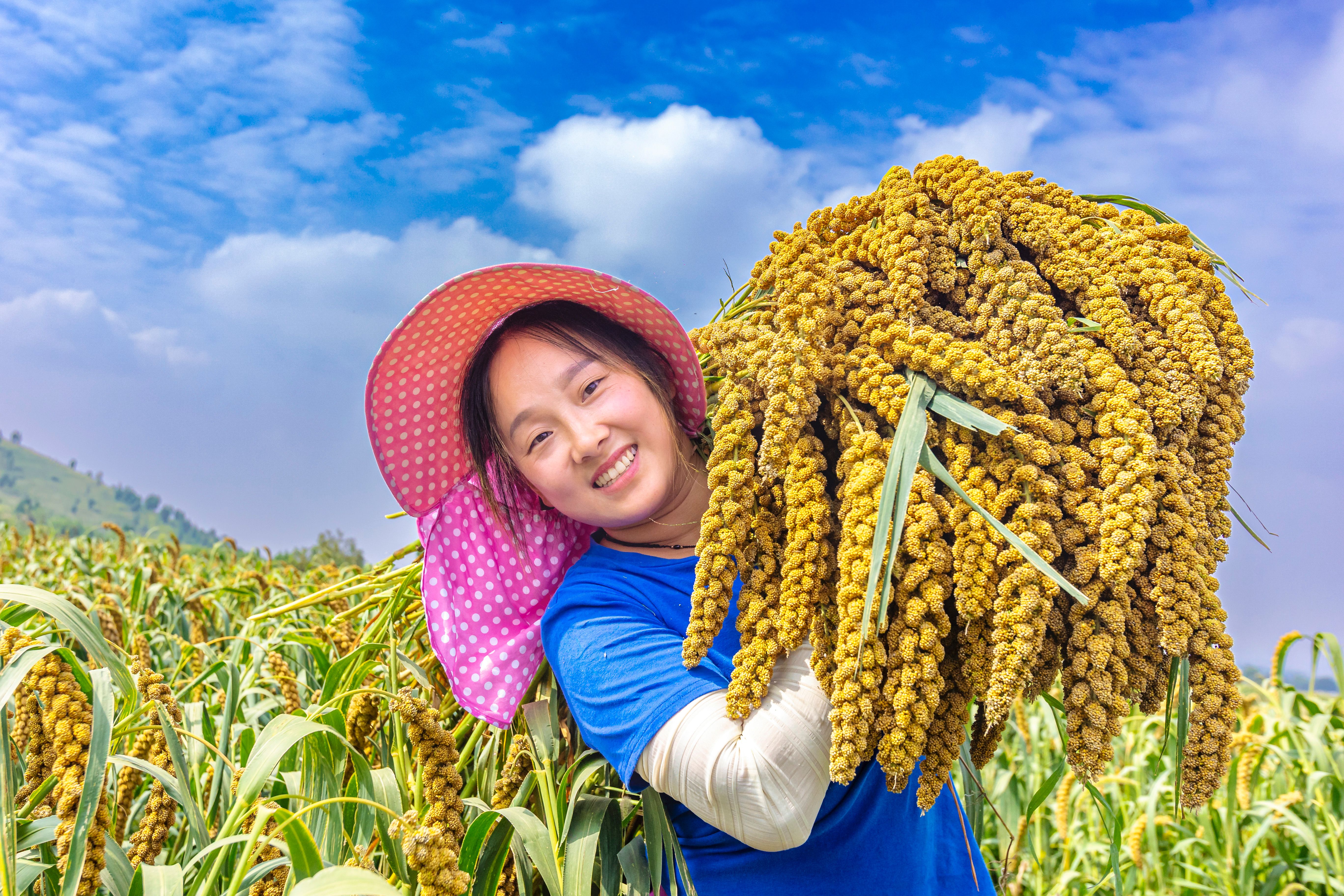 58.《豐收的喜悅》夏縣農(nóng)商銀行王剛 (2) 58.《豐收的喜悅》夏縣農(nóng)商銀行王剛 (2)