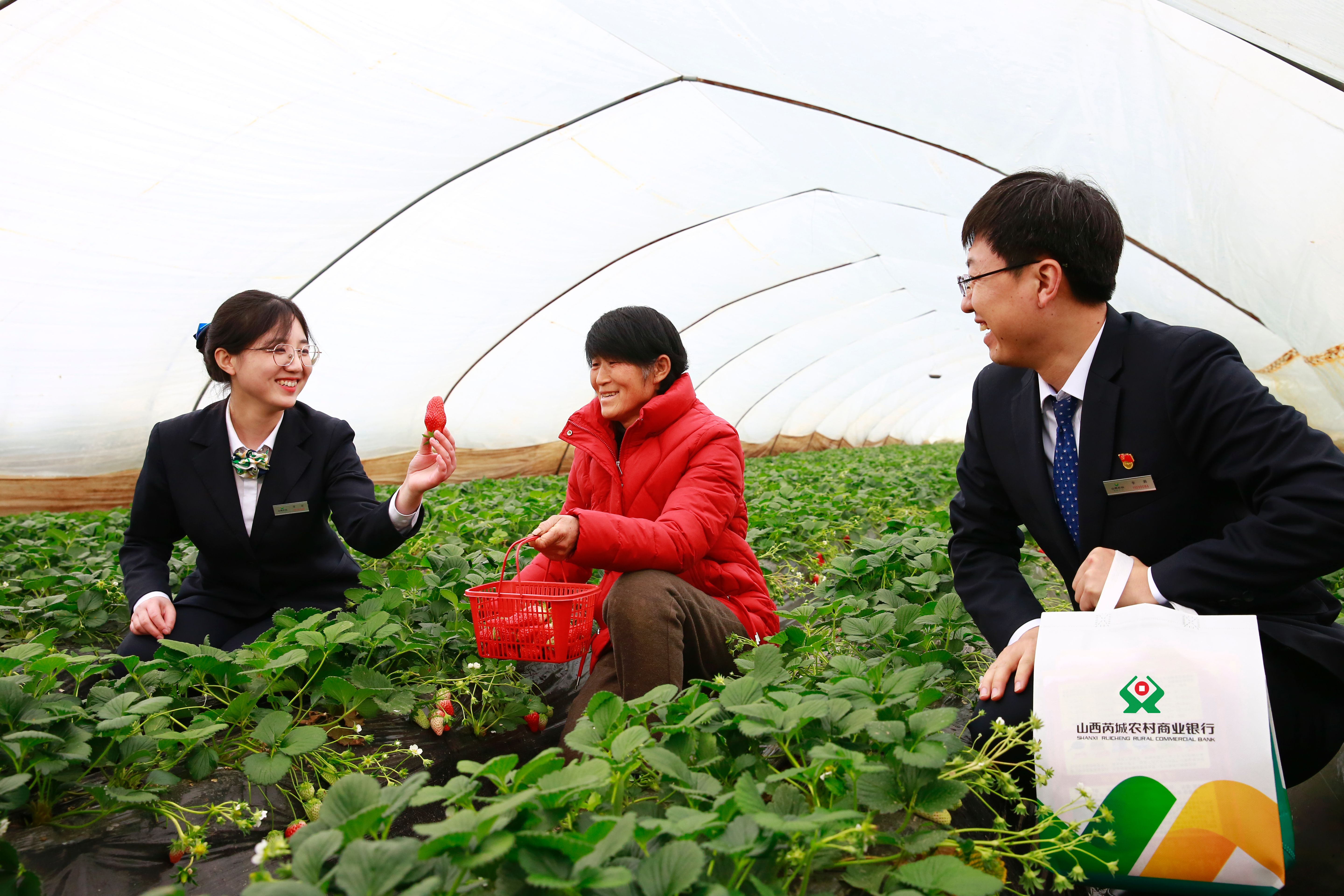 55.《“莓”好生活》芮城農(nóng)商銀行張錚 55.《“莓”好生活》芮城農(nóng)商銀行張錚