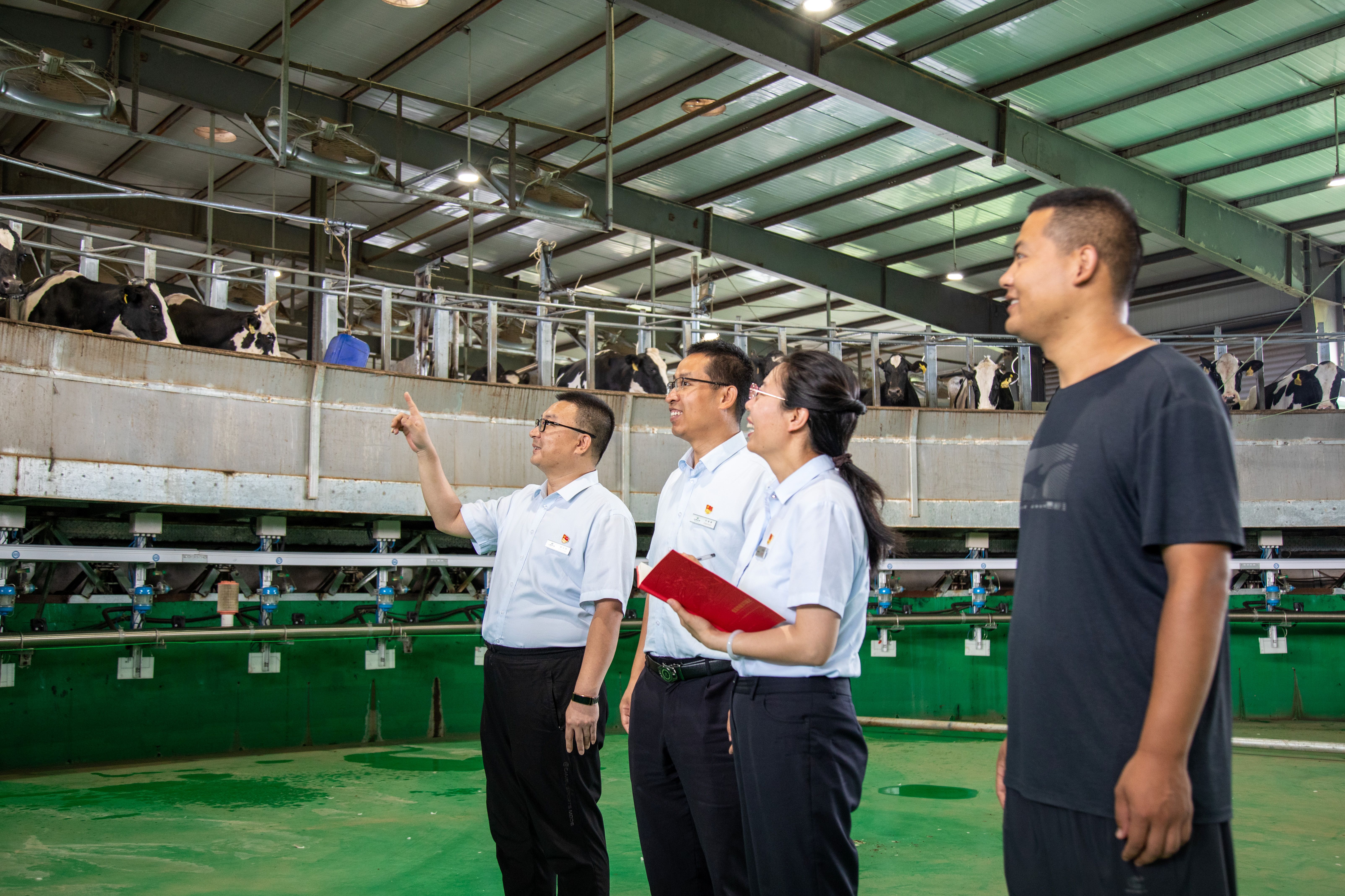 83.《金融活水助力奶業(yè)興旺》山陰農(nóng)商銀行王運禮 (2) 83.《金融活水助力奶業(yè)興旺》山陰農(nóng)商銀行王運禮 (2)