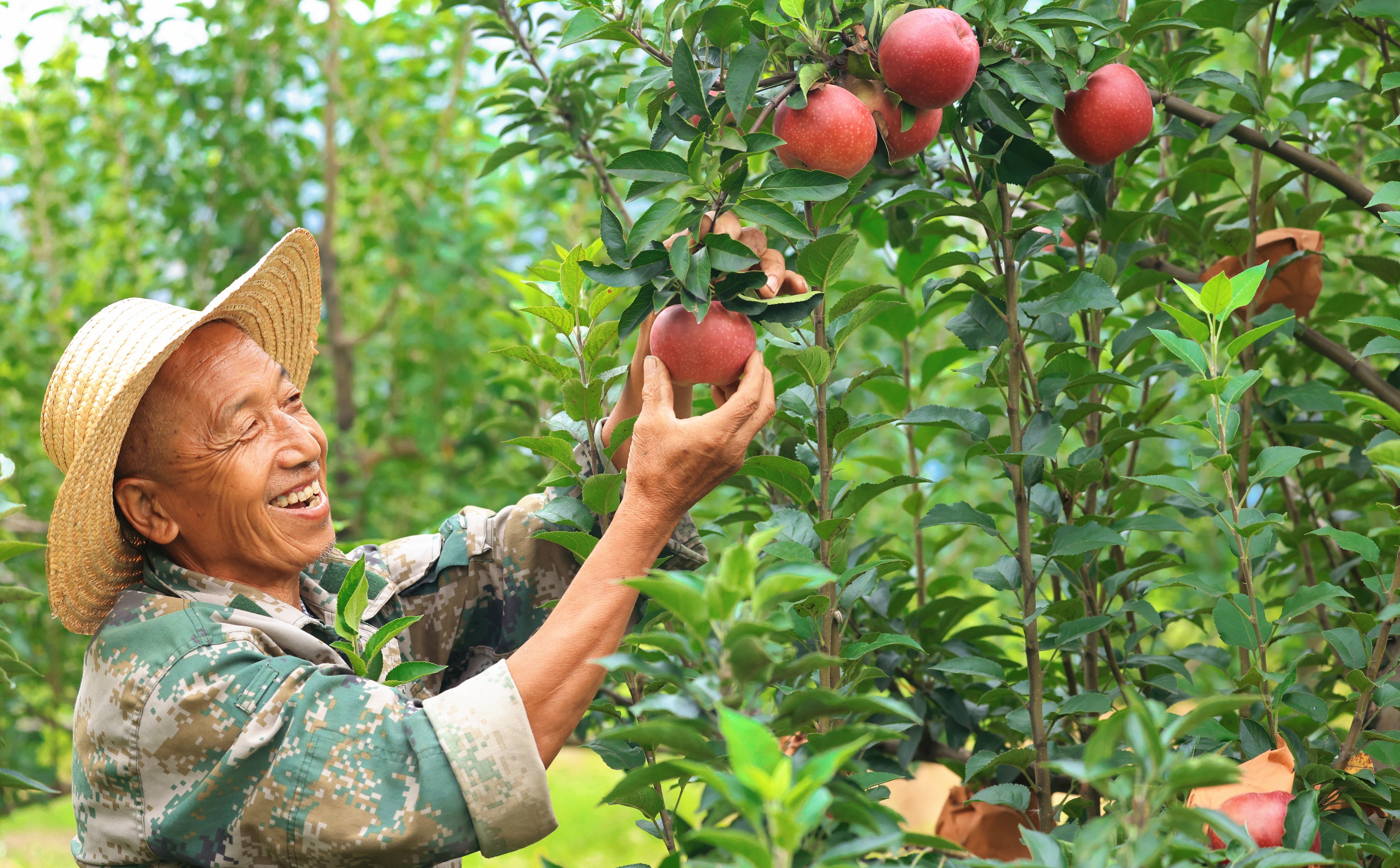 87.《收獲》靈石農(nóng)商銀行田娟 (3) 87.《收獲》靈石農(nóng)商銀行田娟 (3)