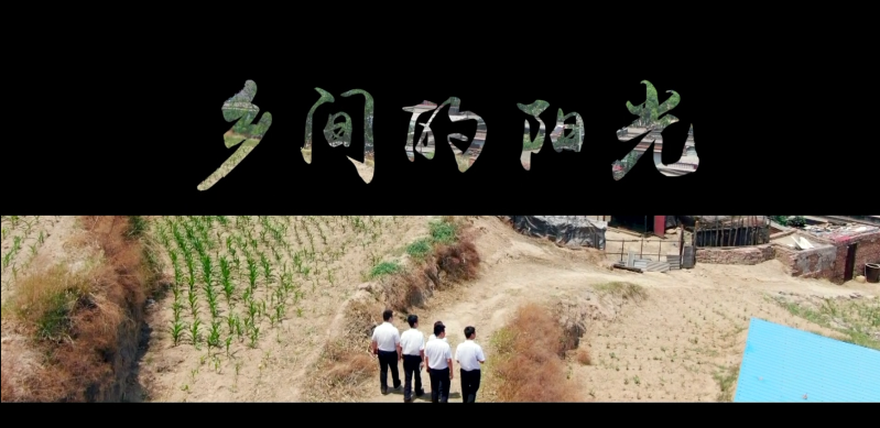 鄉(xiāng)間的陽光