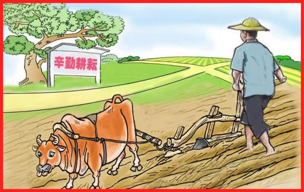 關愛”老黃牛”